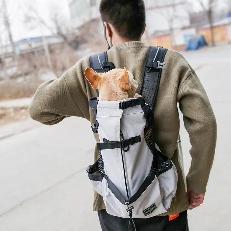 Dog Carrier Backpack Breathable Hands-Free Pet Carrier Pack Fall 2025 Outdoor Travel Comfort Compact Dogs
