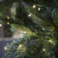String LED Lights Indoor Outdoor Fairy Holiday Decor
