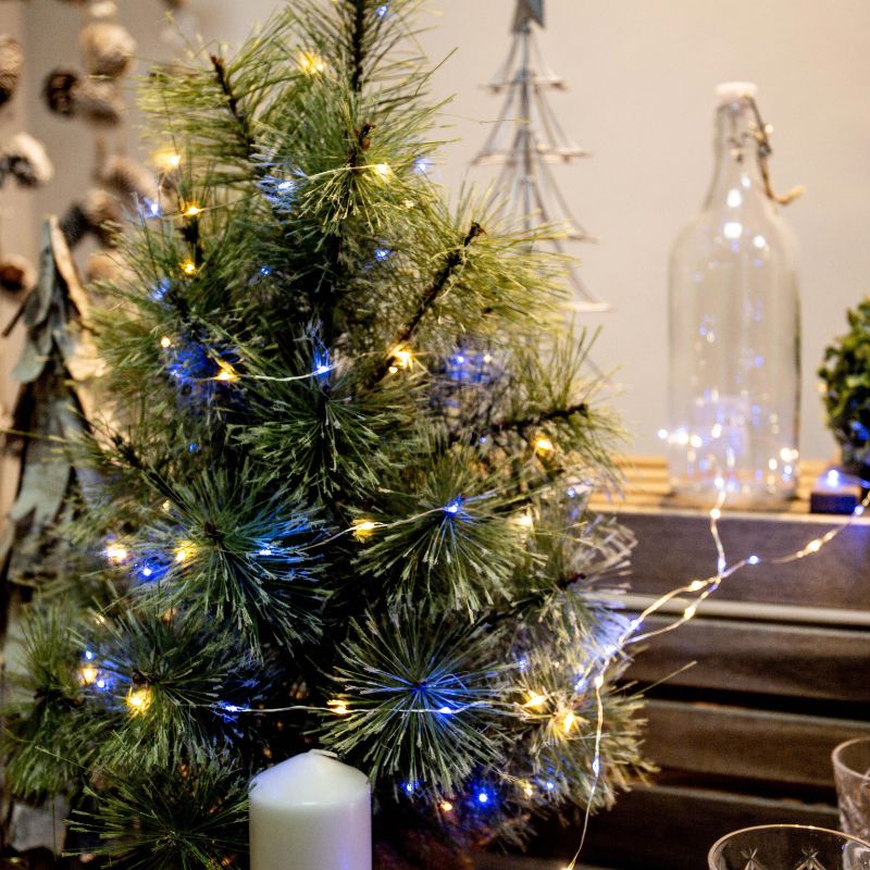 String LED Lights Indoor Outdoor Fairy Holiday Decor