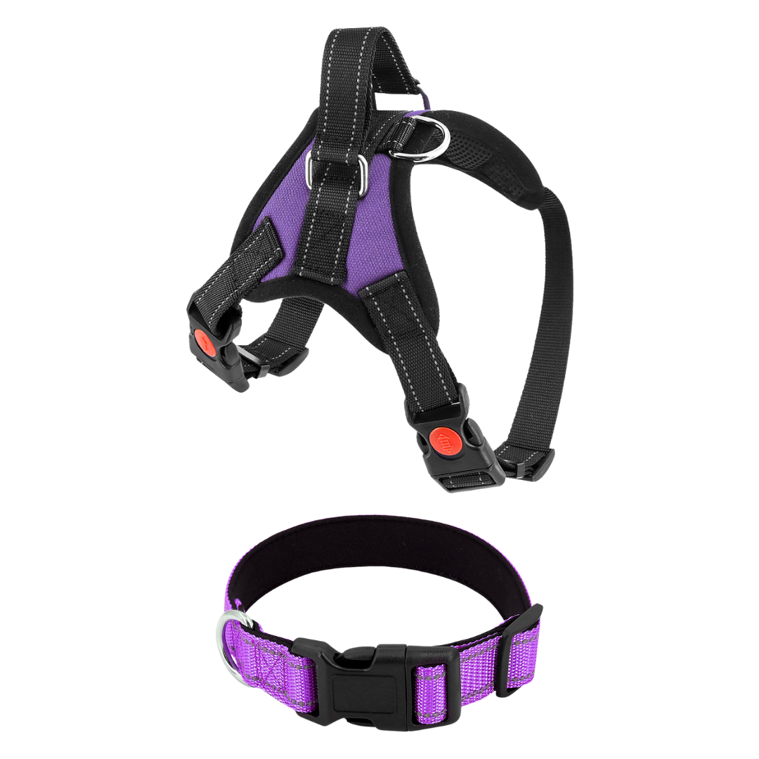 Dog Harness No-Choke Flexible Safety Harness Fall 2025 Trend Breathable Padding For Gentle Control