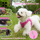 Dog Harness Leash Kit Reflective Padded Vest All Seasons Outdoor Walking Gift Idea
