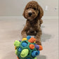 Bite Resistant Rubber Interactive Nose Work Foraging Enrichment Toy for Dogs 2026 – Dog Snuffle Ball Toy