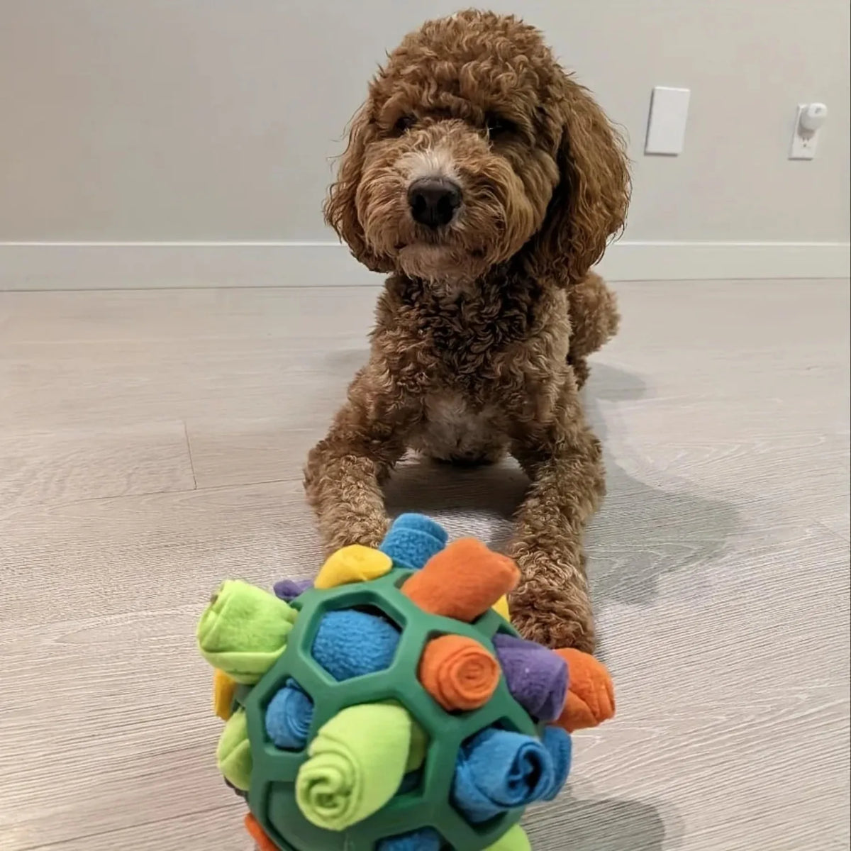 Bite Resistant Rubber Interactive Nose Work Foraging Enrichment Toy for Dogs 2026 – Dog Snuffle Ball Toy