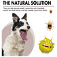 Pet Grooming Maintenance Dental Spray for Dogs & Cats - Bad Breath Freshener & Oral Cleaning, 30ml