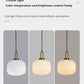 Japandi Glass Pendant Light Japanese Scandinavian Hanging Lamp Warm