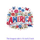 Iron2026 Edition On Patches USA Flag Bald Eagle Heat Transfer Kit Patriotic 4th Of July DIY Clothing Decor