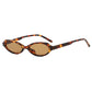 Cat Eye Sunglasses Compact Frame Fashion Eyewear With UV400 Protection Summer 2026 Trend