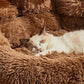 Bed Dog Plush Round Sofa Style Bed For Pets, Fall 2025 Cozy Washable Plush Bed With Paw Backrest Support