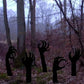 Halloween2025 Edition Skeleton Hands Ground Stakes Decor Fall