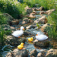 Duck Resin Ornaments Four Piece Garden Figurines Spring Garden Decor Micro Landscape Water Feature Sturdy Resin Decor
