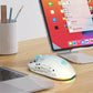 Gaming Mouse Cordless RGB 4000 DPI Battery-Powered 650mAh