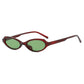Cat Eye Sunglasses Compact Frame Fashion Eyewear With UV400 Protection Summer 2026 Trend