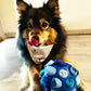 Bite Resistant Rubber Interactive Nose Work Foraging Enrichment Toy for Dogs 2026 – Dog Snuffle Ball Toy
