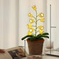 Lily Knitted Of The Valley Cotton Rope Pot Lamp Cozy