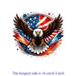 Iron2026 Edition On Patches USA Flag Bald Eagle Heat Transfer Kit Patriotic 4th Of July DIY Clothing Decor