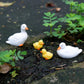 Duck Resin Ornaments Four Piece Garden Figurines Spring Garden Decor Micro Landscape Water Feature Sturdy Resin Decor