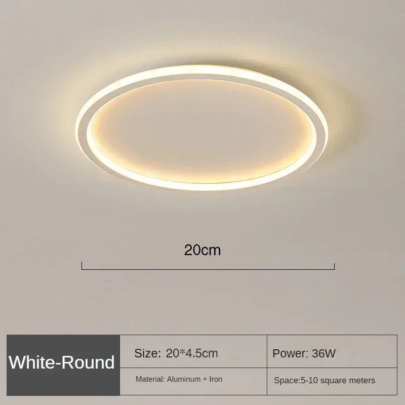 LED2026 Edition Ceiling Light Scandinavian Minimalist Circular with Remote Control Energy Efficient Household Decor TikTok Viral Fall