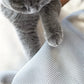 Bed Cat Breathable Cooling Hammock Cot Elevated Pet Sofa Summer 2025 Cozy Sturdy Metal Frame Nap Lounger