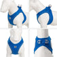 Dog Harness Leash Kit Reflective Padded Vest All Seasons Outdoor Walking Gift Idea