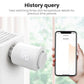 Thermostat Smart TRV Actuator ZigBee3.0 Radiator Valve Controller Voice Assistant Compatible Fall 2025 Gift