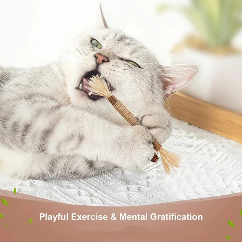 Organic Silver Vine Cat Dental Chew Rod - Bite-Resistant Matatabi Teeth Cleaning Toy
