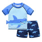 Fast-Dry Boys Swimwear - Two-Piece Cartoon Print Kit, Polyester/Nylon/Spandex, Summer Beachwear