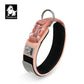 Dog Collar Reflective Personalized Padded Collar Large Dogs Night Walk Fall 2025 Breathable Fast Release Safety