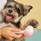 Silicone Pet Paw Cleaner & Massage Brush - Dual-Sided Dog Grooming Device for Healthy Coats