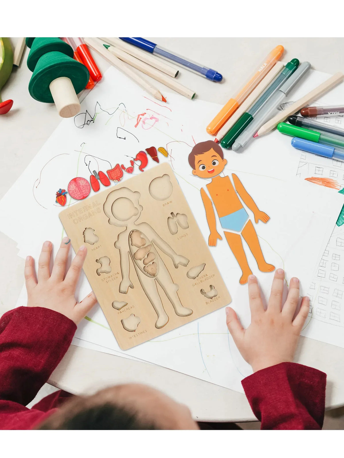 Montessori Human Anatomy Jigsaw Puzzle for Kids, 10 Pieces Educational Toy, Interactive Learning Device, Non-Toxic Wood, 12 x 9 Inches