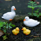 Duck Resin Ornaments Four Piece Garden Figurines Spring Garden Decor Micro Landscape Water Feature Sturdy Resin Decor
