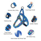 Dog Harness Floral Mesh Padded Vest Harness Fast Fit Flexible All Breeds Fall 2025 Cozy Walks