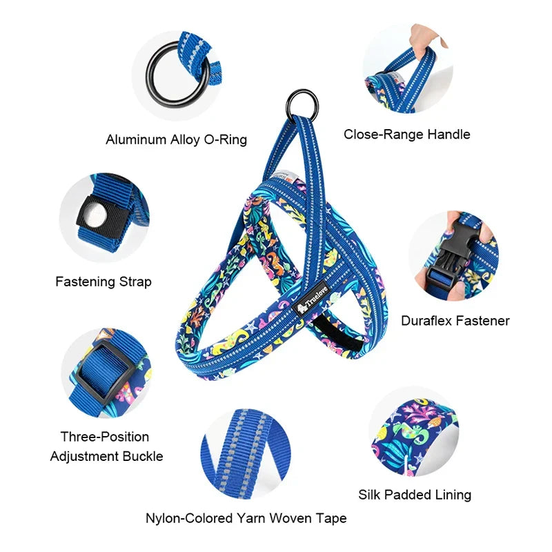 Dog Harness Floral Mesh Padded Vest Harness Fast Fit Flexible All Breeds Fall 2025 Cozy Walks