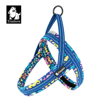Dog Harness Floral Mesh Padded Vest Harness Fast Fit Flexible All Breeds Fall 2025 Cozy Walks
