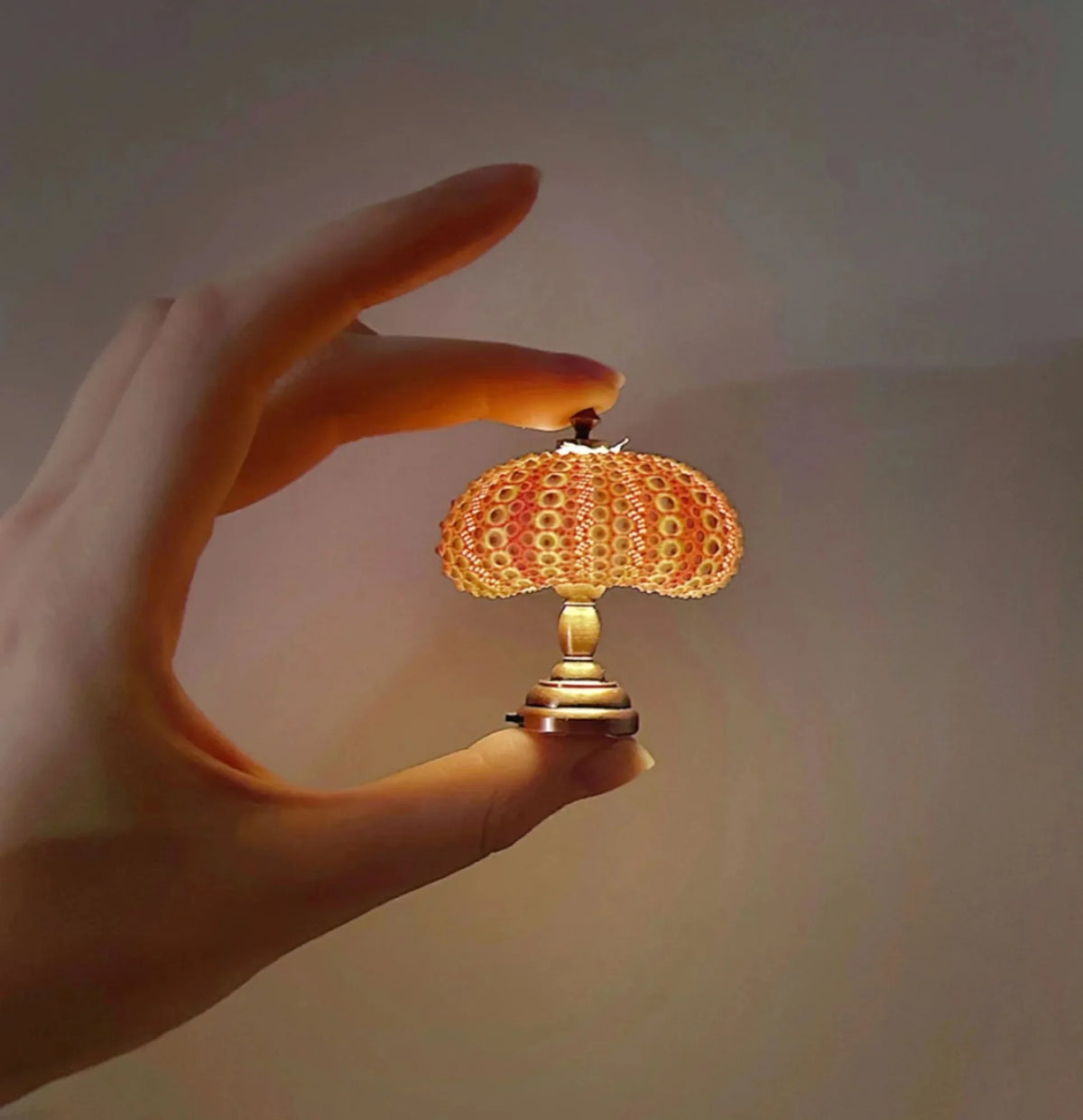 Retro Popular Sea Urchin Night Lamp - Children's Table Lamp for Girls Room Decor