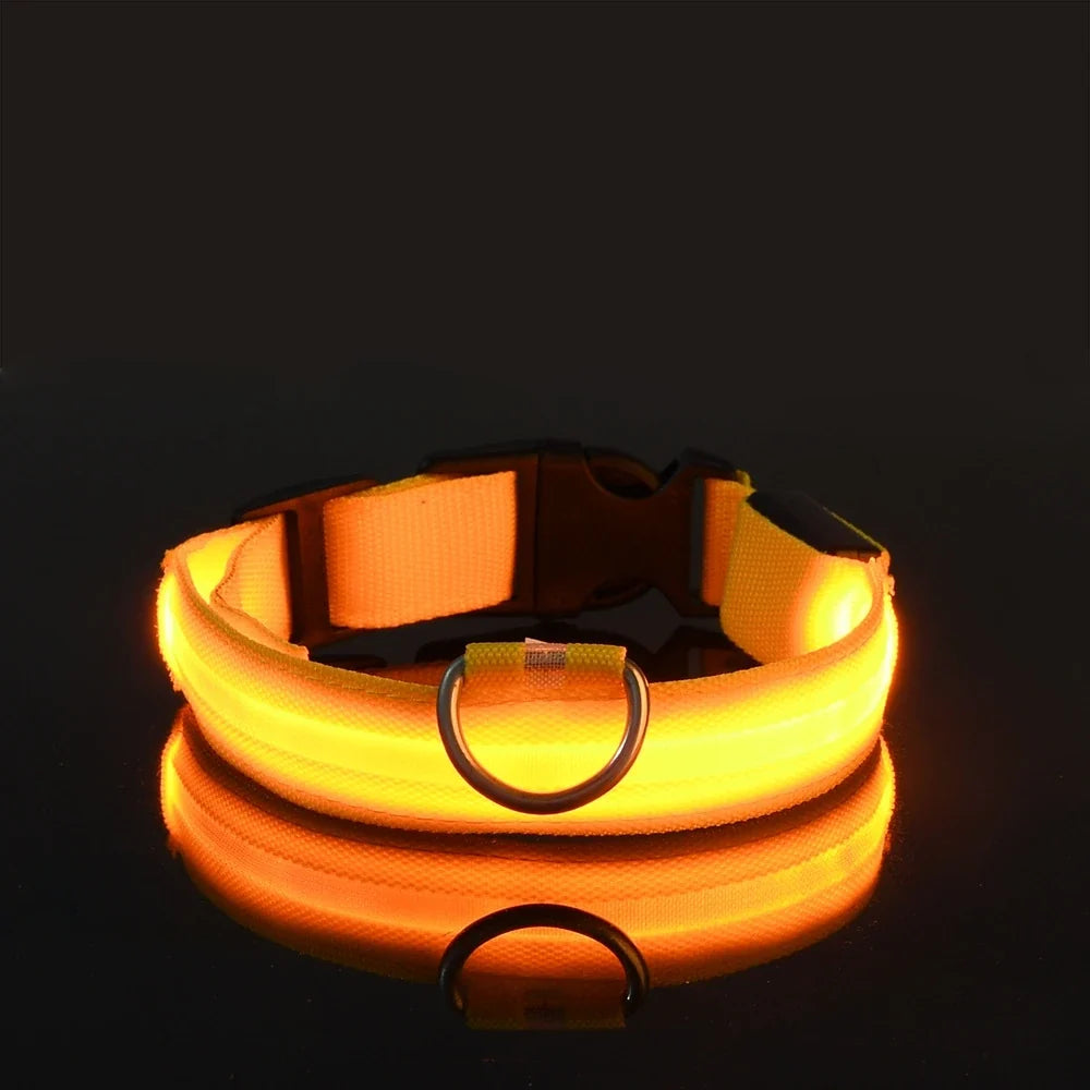 LED Dog Collar Glow In The Dark Night Safety Luminous Fall 2026 Trend Great Gift Idea