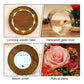 A Thoughtful Valentine's Day Surprise for Her – Eternal Preserved Rose Gift Box with Teddy Bear