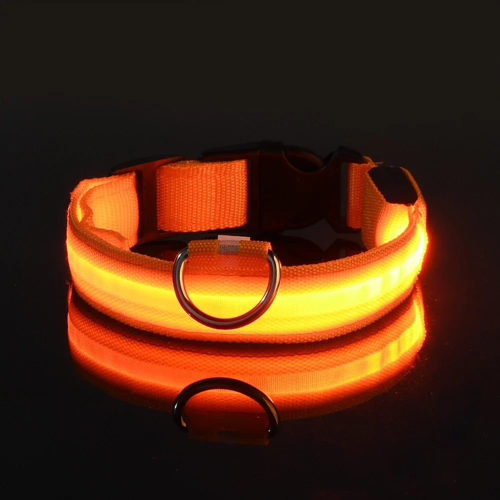 LED Dog Collar Glow In The Dark Night Safety Luminous Fall 2026 Trend Great Gift Idea