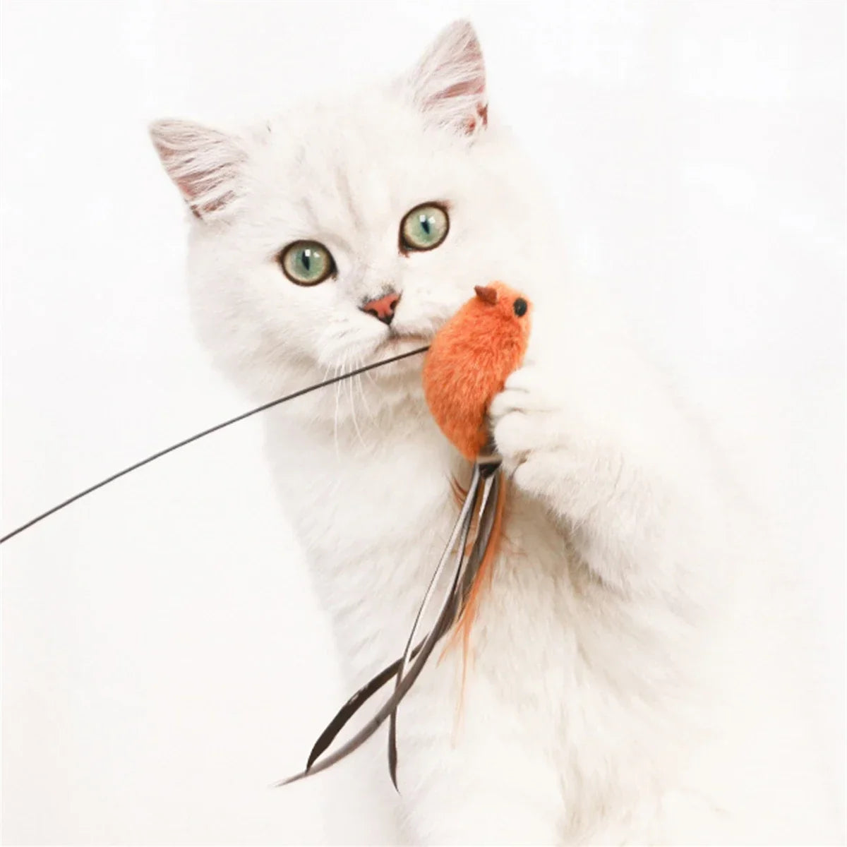 Bird Simulated Cat Toys - Upgraded Feather Teasing Stick, Long Rod with Steel Wire, Cat Safe Fun