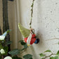 Resin2026 Edition Gnome Pendant Hanging Decor For Pots And Gardens Cute Outdoor Garden Ornament Gift Idea Fall