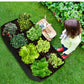 Planting Garden Bag - Rectangular Felt Grow Bags for Vegetables, Tomatoes, and Herbs