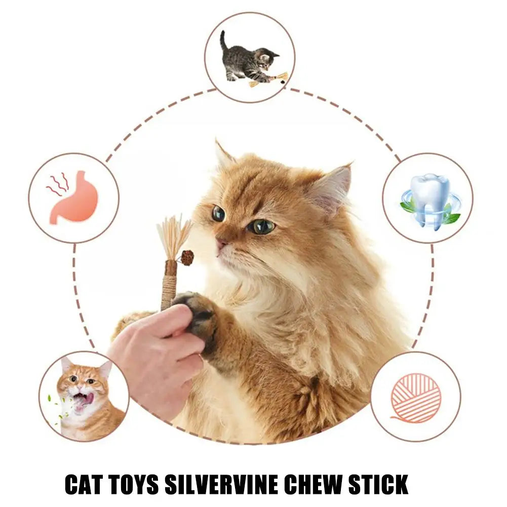 Organic Silver Vine Cat Dental Chew Rod - Bite-Resistant Matatabi Teeth Cleaning Toy