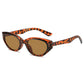 Sunglasses Circular Unisex Foldable Round Eyewear, TikTok Viral Fall 2026 Trendy Accessory