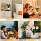 LED Night Light Tulip Table Lamp Romantic Ambient Flower Light Fall 2025 Household Decor Gift