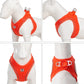 Dog Harness Leash Kit Reflective Padded Vest All Seasons Outdoor Walking Gift Idea