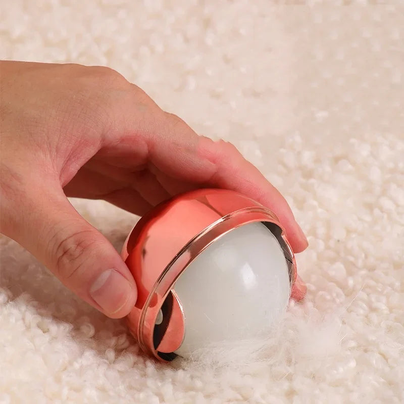 Travel-Friendly Pet Hair Roller Brush - Washable Loop Device for Dust Removal and Clothes Hair Removal