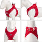 Dog Harness Leash Kit Reflective Padded Vest All Seasons Outdoor Walking Gift Idea