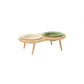 Cat Ceramic Bowl Kit Height Flexible Elevated Wooden Stand Double Food Water Bowls Fall 2025 Mess Free Feeding