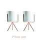 Ceramic Planters Kit Of 3 With Gold Iron Stand Contemporary Desktop Succulent Planters Fall 2025 Trendy Gift