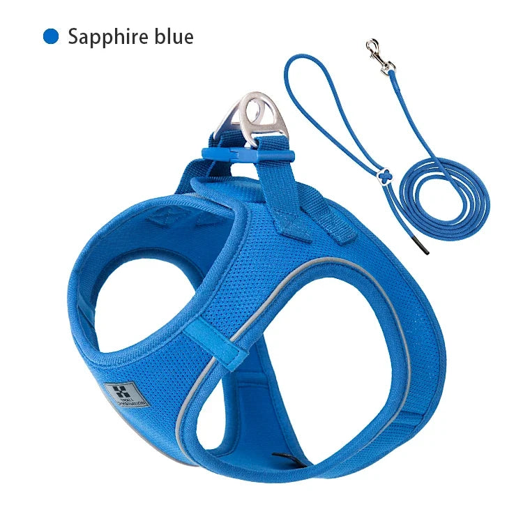Dog Harness Leash Kit Reflective Padded Vest All Seasons Outdoor Walking Gift Idea