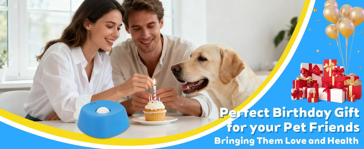 Ball-Shaped Lick Mat Anti-Choke Design, Pet Feeding Gift 2026 – Anti-Slip Slow Feeder Dog Bowl